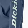 imageDickies Mens Wordmark DWR Pullover FleeceBlue