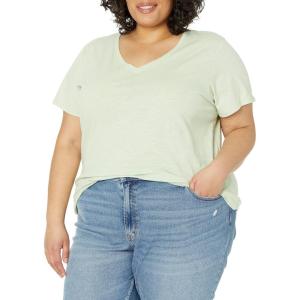 imageDickies Womens Womens Plus Short Sleeve VNeck TShirtCeladon Green