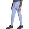 imageDickies Mens Jogger Natural Rise 5 Pockets Elastic Waistband with Interior Self Drawstring DK111Ciel Blue