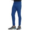 imageDickies Mens Jogger Natural Rise 5 Pockets Elastic Waistband with Interior Self Drawstring DK111Royal