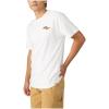 imageDickies Mens Short Sleeve Graphic TeeSnow White  Retro Motor